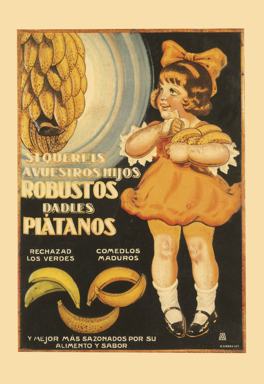 quereis hijos robustos platanos carteles graficas maxtor valladolid