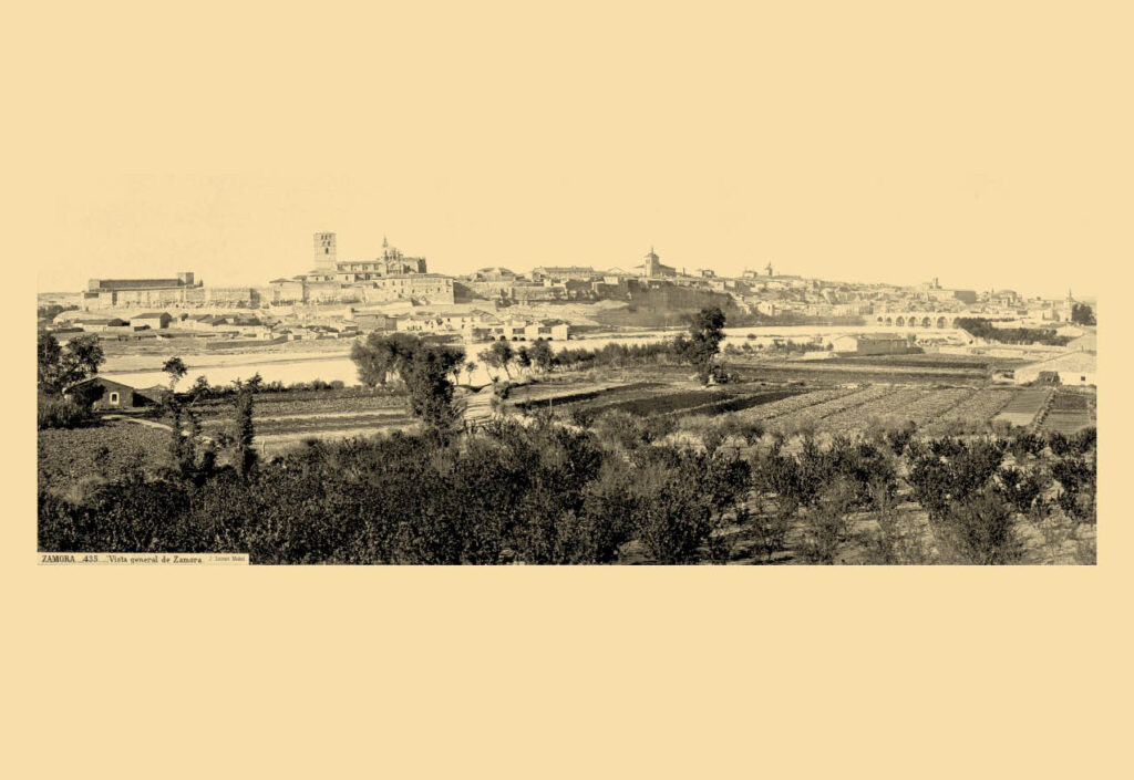 vista general zamora carteles graficas maxtor valladolid