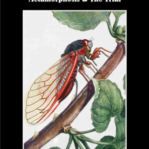 The essential Kafka. Metamorphosis & The trial