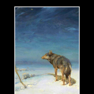 White Fang