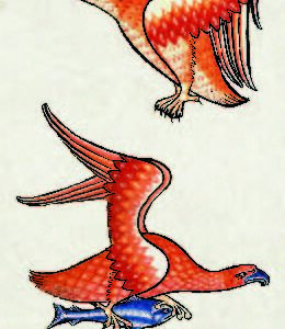 Marcapáginas "Bestiario de Oxford/Ashmole"