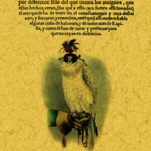 Libro de cetrería. De caza de azor